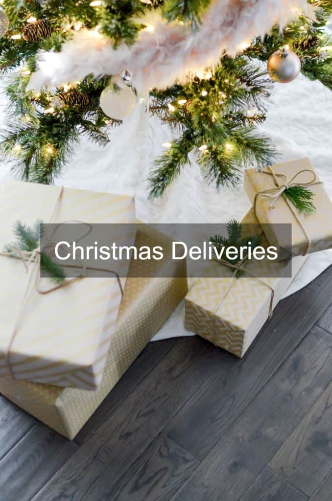 Presents under a Christmas tree